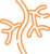 Angiologista